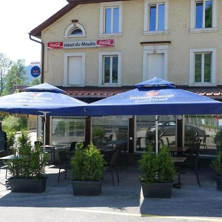 Hotel Restaurant Du Moulin 弗勒里耶 外观 照片